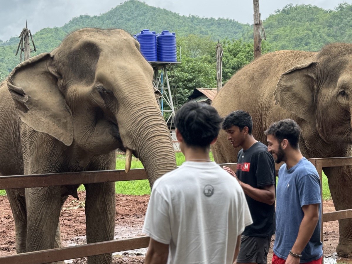 rice balls & watermelon are also elephant food
